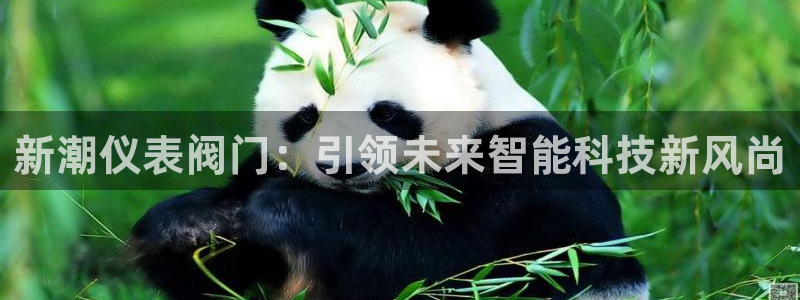 新宝gg开奖结果