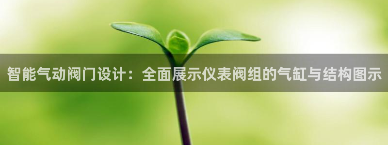 新宝GG登录网页