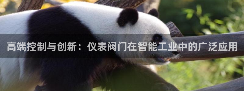 新宝gg注册首页