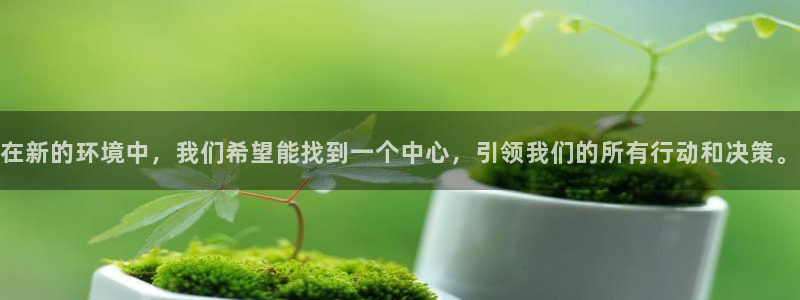 新宝gg代理注册