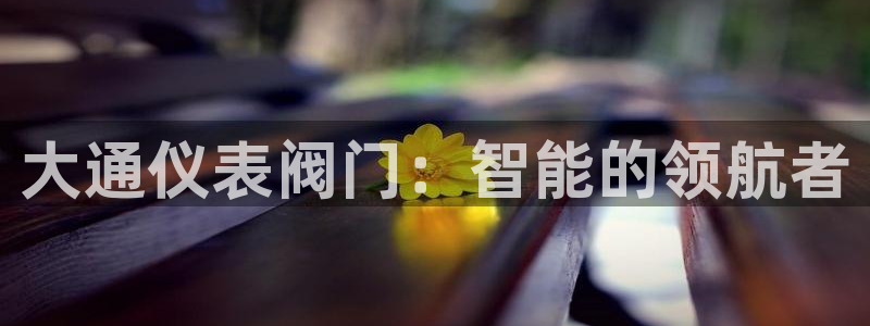 新宝gg主管花木兰