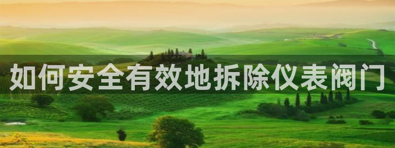 新宝六与新宝gg