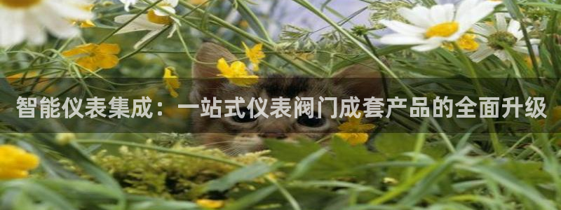 新宝GG—创造奇迹