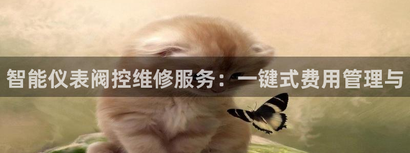 新宝gg游戏登录