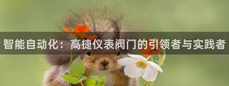 新宝gg 登录页面