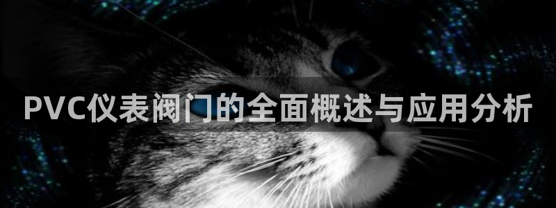 新宝 gg 登录注册