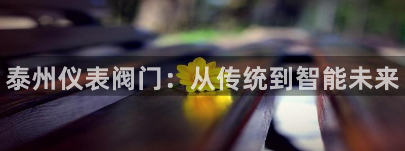 新宝gg代理登录