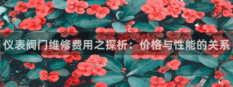 新宝gg 黑