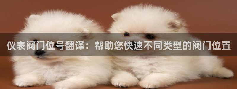 新宝gg代理条件