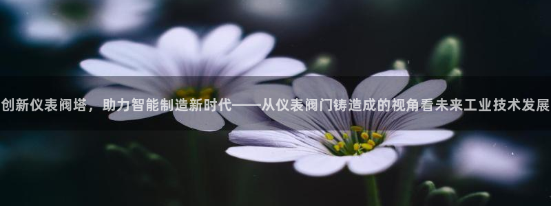 新宝gg待遇