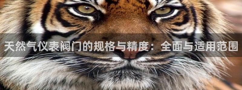 新宝gg正规
