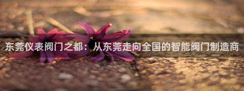 新宝 gg 登录注册