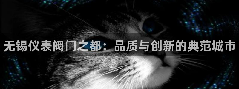 新宝GG无法充值