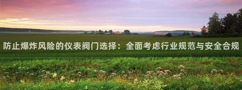 新宝gg主