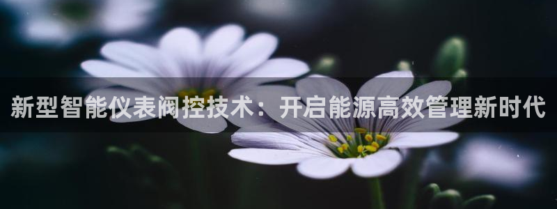 新宝 gg 下载