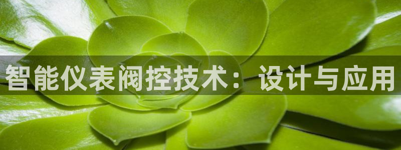 新宝一GG