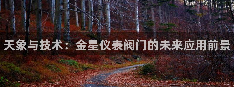 新宝gg登