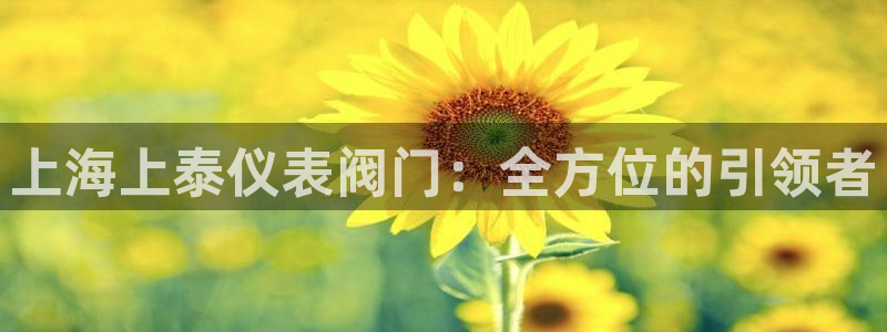 新宝gg开奖