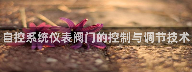 新宝gg注册登录网址