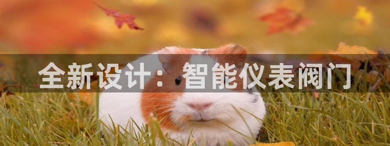 新宝gg扣钱