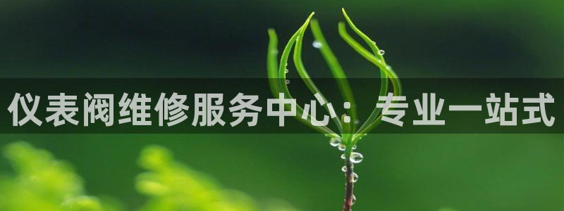 新宝GG创造奇
