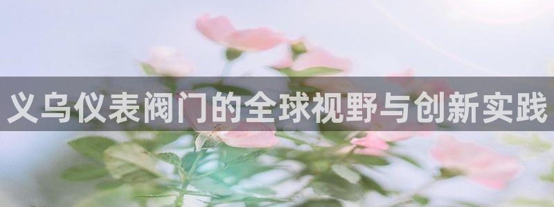 新宝 gg 登录注册