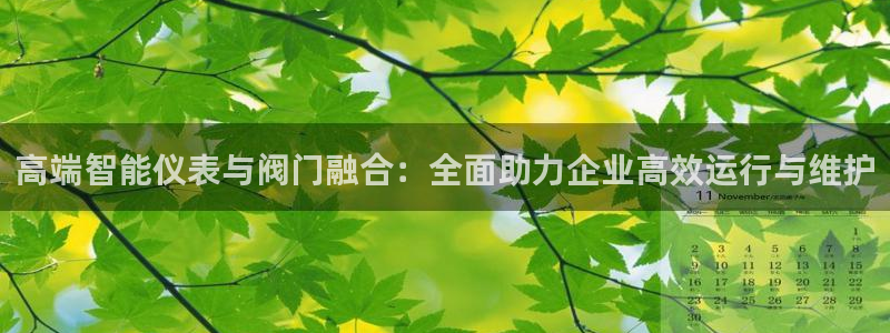 新宝gg 内部 8