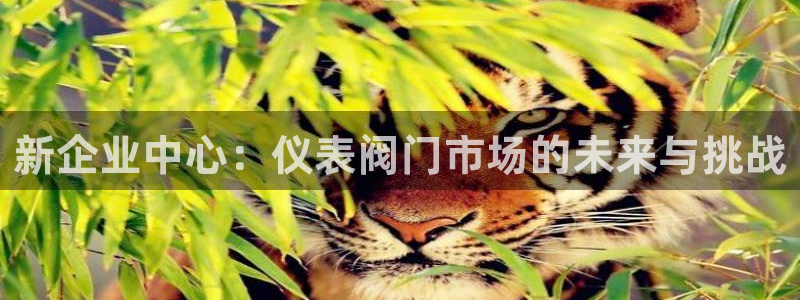 新宝gg成立